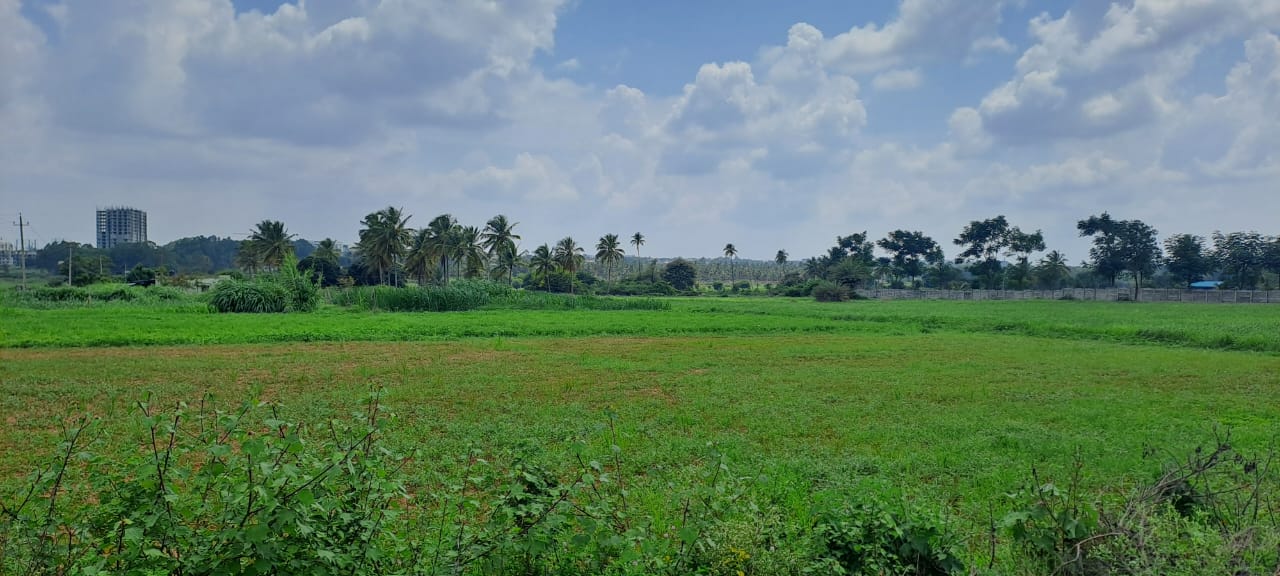 varaprasad pala